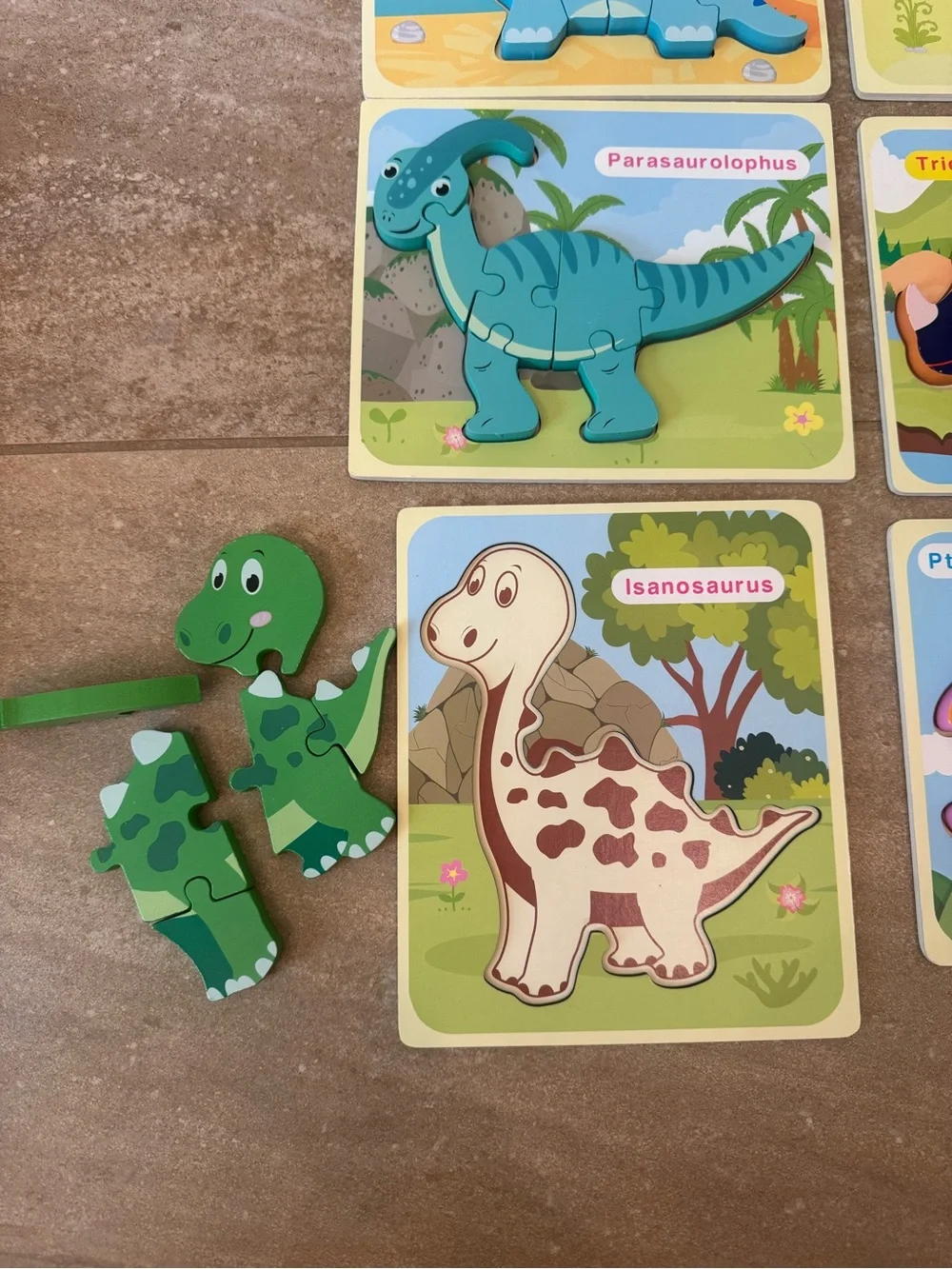 Kids Dinosaur Wooden Puzzle toy Set - 6 bright colors